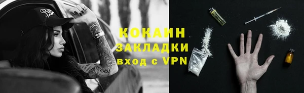прущие грибы Новодвинск