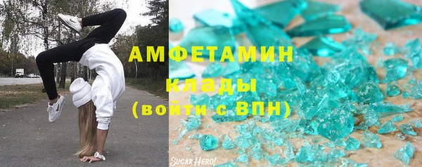 прущие грибы Новодвинск