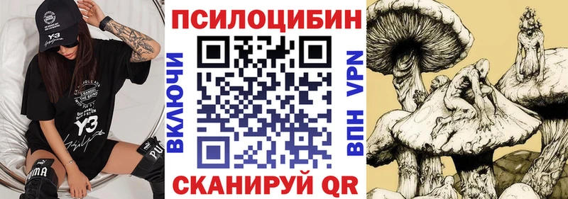 Псилоцибиновые грибы Magic Shrooms  OMG как зайти  дарк нет состав  Трубчевск 